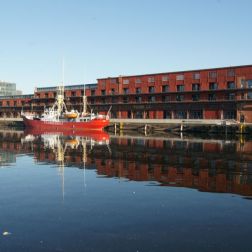 Foto: Jörg Sellerbeck, jr.